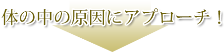 体の中の原因にアプローチ!