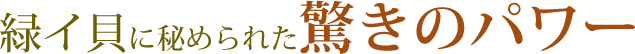 緑イ貝に秘められた驚きのパワー